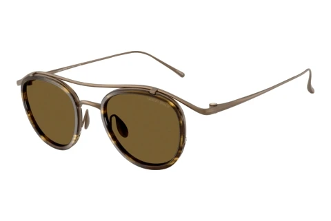 Zonnebril Giorgio Armani AR6179T 342973