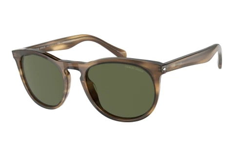 Zonnebril Giorgio Armani AR8149 590058