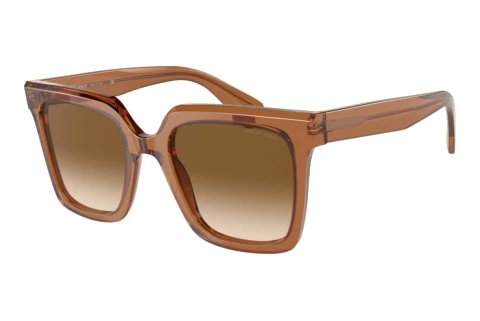 Zonnebril Giorgio Armani AR8156 593251