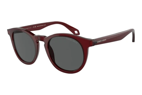 Zonnebril Giorgio Armani AR8192 6045B1