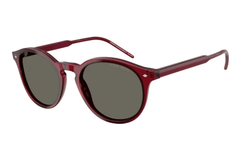 Zonnebril Giorgio Armani AR8211 6344R5