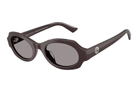 Zonnebril Giorgio Armani AR8245HU 6306/1