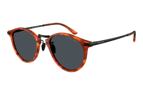 Zonnebril Giorgio Armani AR8250 6404R5