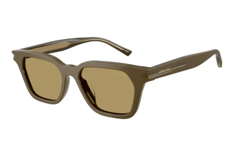 Zonnebril Giorgio Armani AR8251U 6401/2