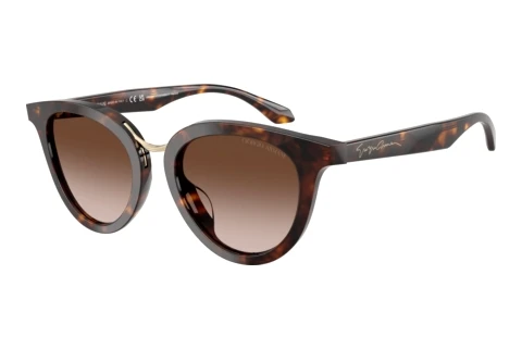 Zonnebril Giorgio Armani AR8252U 612413