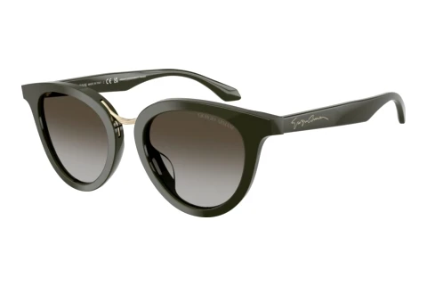 Zonnebril Giorgio Armani AR8252U 640013