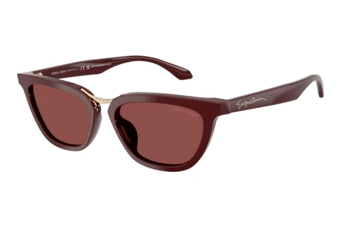 Zonnebril Giorgio Armani AR8253U 639775