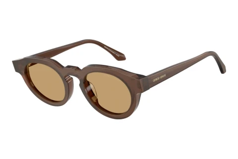 Zonnebril Giorgio Armani AR8255U 639473
