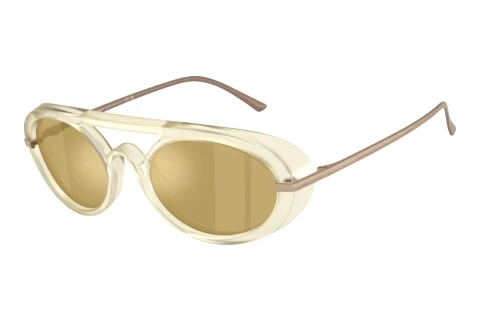 Zonnebril Giorgio Armani AR8256 6409O8