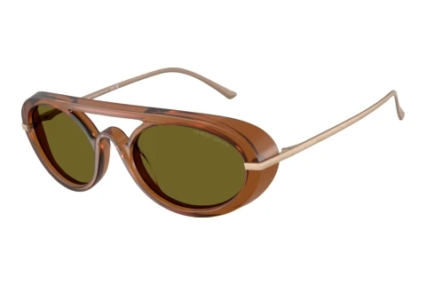 Zonnebril Giorgio Armani AR8256 6410/2
