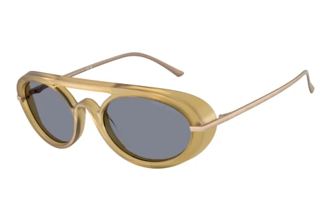 Zonnebril Giorgio Armani AR8256 641119
