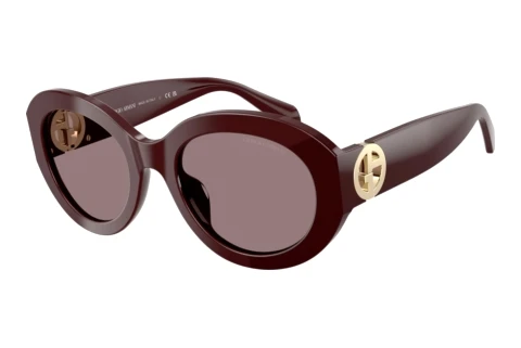 Zonnebril Giorgio Armani AR8269U 64817N