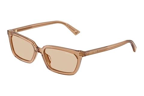 Zonnebril Jimmy Choo JC5050U 507693