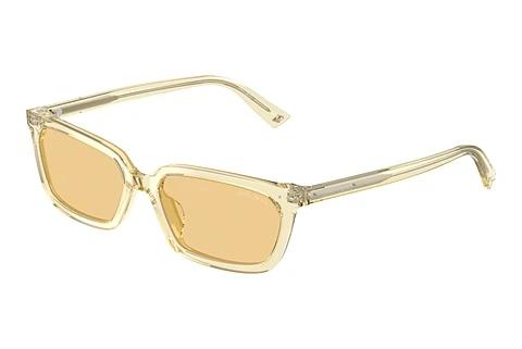 Zonnebril Jimmy Choo JC5050U 5083/8