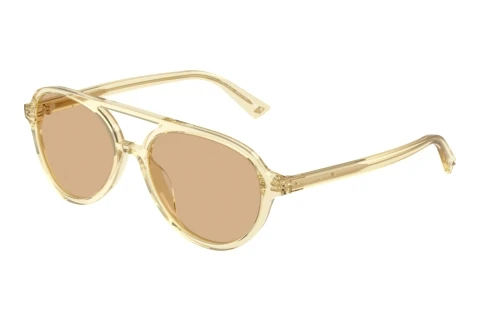 Zonnebril Jimmy Choo JC5055U 5083/8