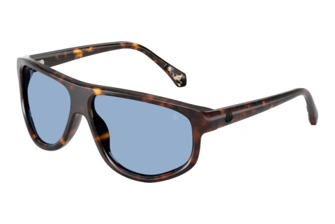 Zonnebril Moncler ICEBORNE (ME6033U 300280)