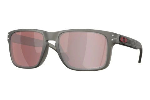Zonnebril Oakley HOLBROOK (OO9102 9102AR)