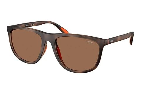 Zonnebril Polo PH4231U 597473