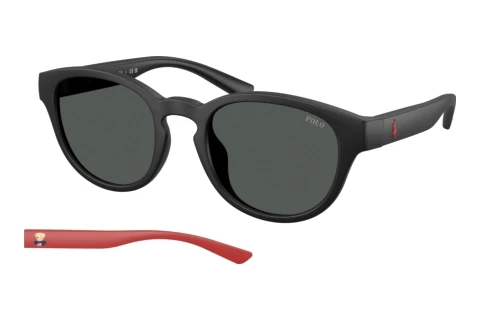 Zonnebril Polo PH4233U 550487