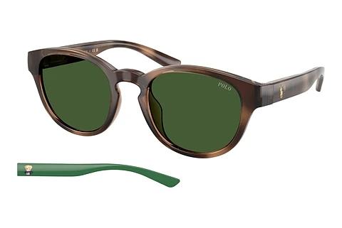 Zonnebril Polo PH4233U 607071