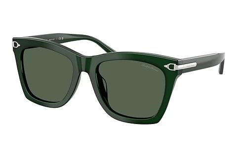Zonnebril Ralph Lauren RL8235U 630471