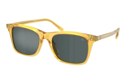 Zonnebril Ralph Lauren RL8242U 50053R