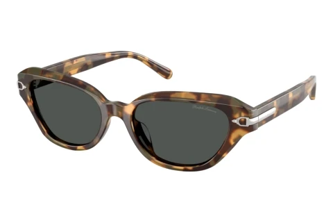 Zonnebril Ralph Lauren RL8244U 617887