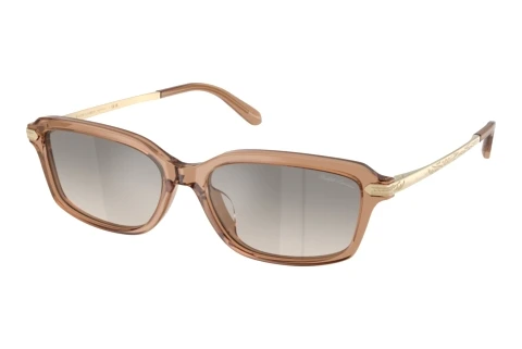 Zonnebril Ralph Lauren RL8245U 637708