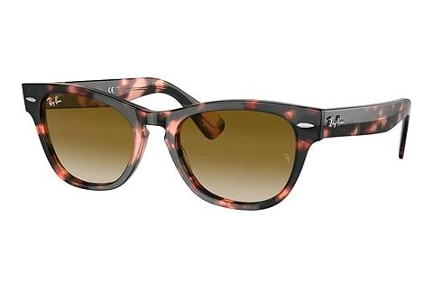 Zonnebril Ray-Ban LARAMIE (RB2201 133451)