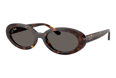 Zonnebril Ray-Ban RB2223 902/B1