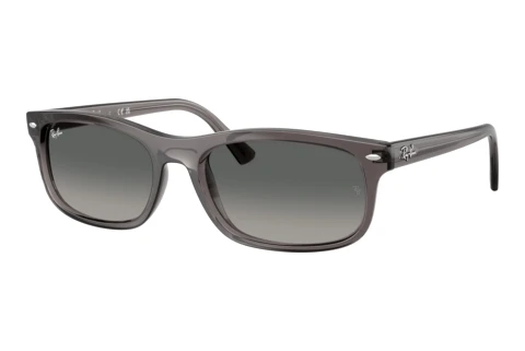 Zonnebril Ray-Ban RB2224 667571