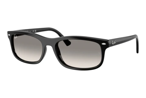 Zonnebril Ray-Ban RB2224 901/32
