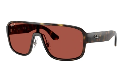 Zonnebril Ray-Ban RB2229 710/1B