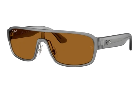 Zonnebril Ray-Ban RB2233 6904BB