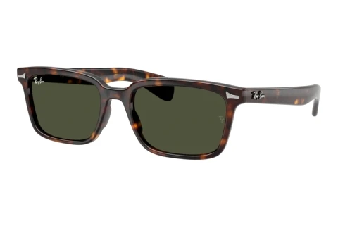 Zonnebril Ray-Ban BRUNEL (RB2234 902/31)