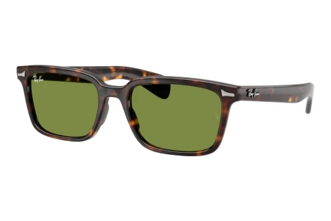 Zonnebril Ray-Ban BRUNEL (RB2234 902/4E)