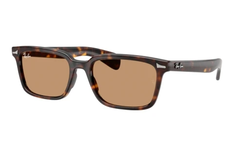 Zonnebril Ray-Ban BRUNEL (RB2234 902/53)