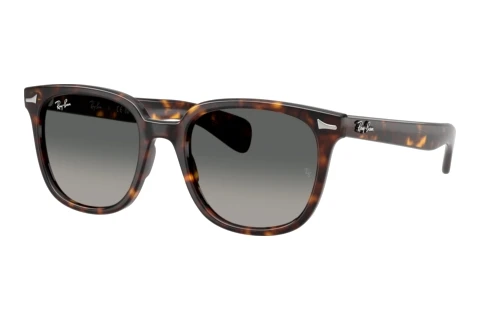 Zonnebril Ray-Ban BRUNEL II (RB2235 902/71)