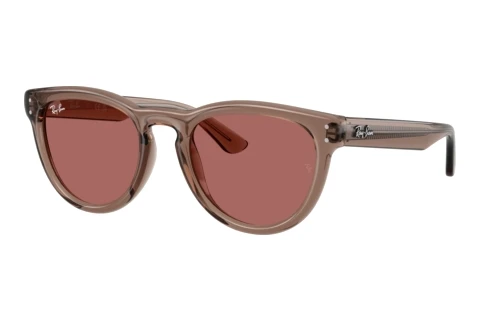 Zonnebril Ray-Ban RB2237 682769