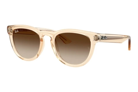 Zonnebril Ray-Ban RB2237 690213