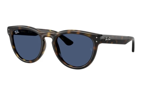 Zonnebril Ray-Ban RB2237 710/80