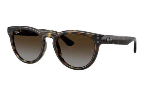 Zonnebril Ray-Ban RB2237 710/T5