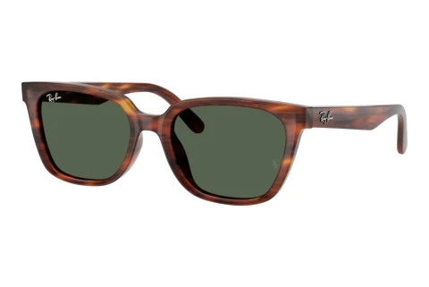 Zonnebril Ray-Ban RB2243D 954/71