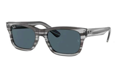 Zonnebril Ray-Ban MR BURBANK (RB2283 1314R5)