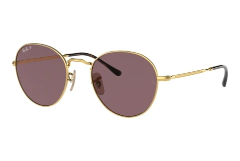 Zonnebril Ray-Ban DAVID (RB3582 001/AF)