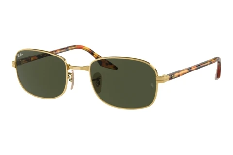 Zonnebril Ray-Ban RB3690 001/31