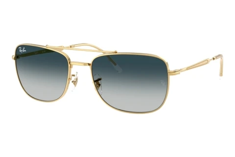 Zonnebril Ray-Ban RB3755 920132