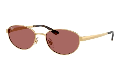 Zonnebril Ray-Ban RB3774D 001/69