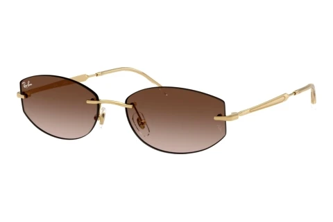 Zonnebril Ray-Ban RB3792 001/13