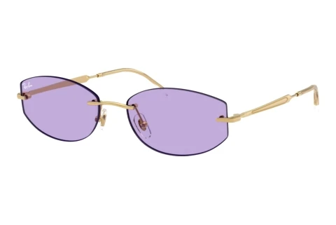 Zonnebril Ray-Ban RB3792 001/1A